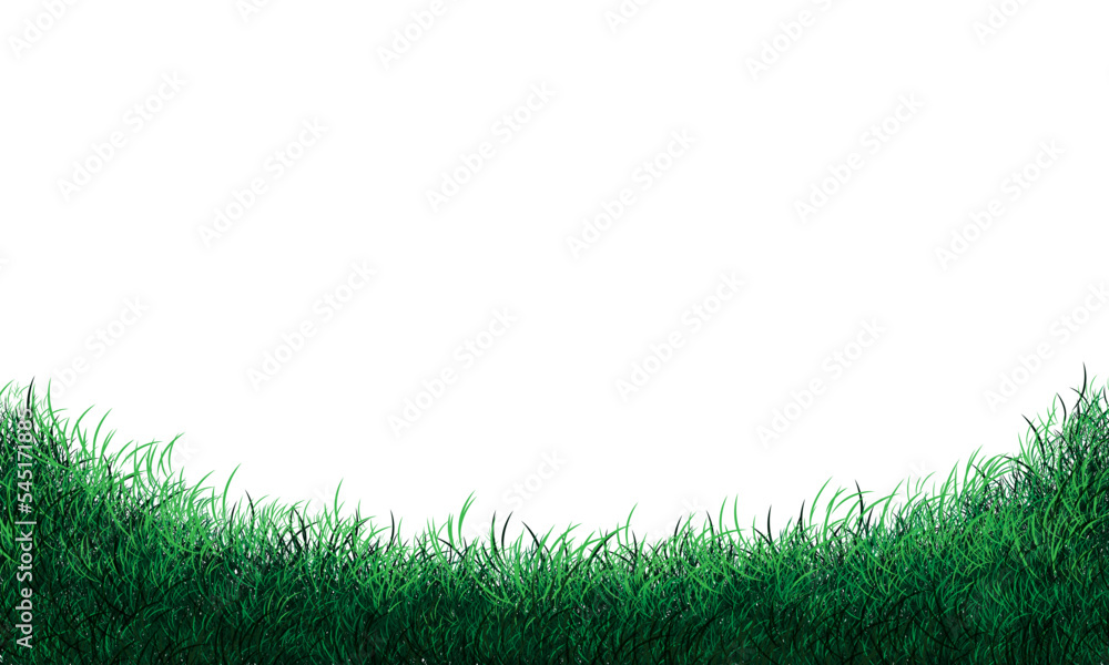 Realistic green grass field curve on white background vector Realistic green grass field curve on white background vector