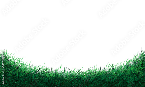 Realistic green grass field curve on white background vector