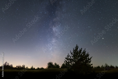 alone pine tree silhouette among sandy prairie under a starry sky, beautiful night natural landscape