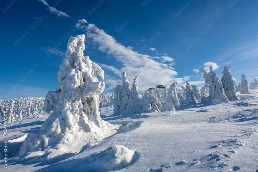 winter in Giant mountains in Poland