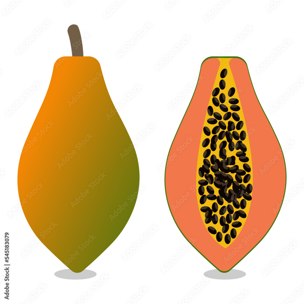 Papaya fruit collection set. Tropical fruit exotic vegan food on white background. Vector illustration. EPS 10. Papaya fruit collection set. Tropical fruit exotic vegan food on white background. Vector illustration. EPS 10.