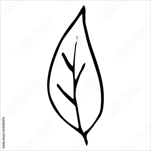 single vector element is leaf of a tree