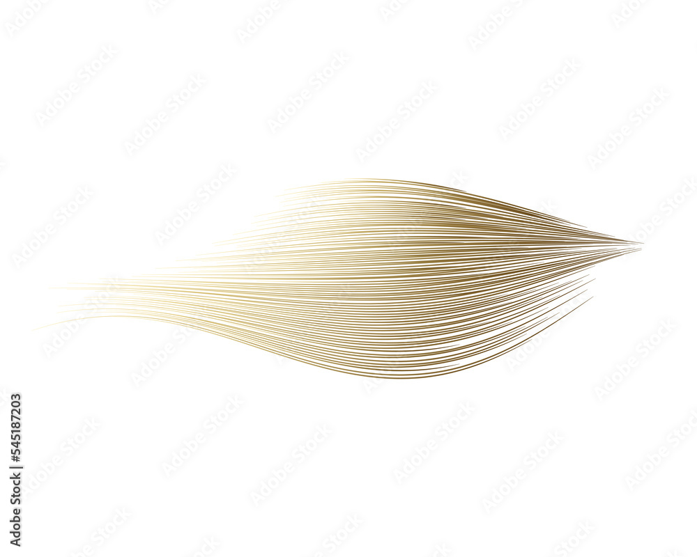 Abstract art gold gradient brush stroke curve isolated on transparent ...