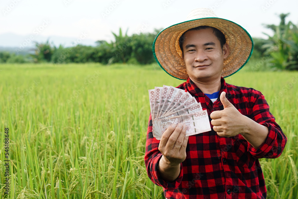 Asian farmer man is at paddy field, wears hat and red plaid shirt, hold  Thai banknote