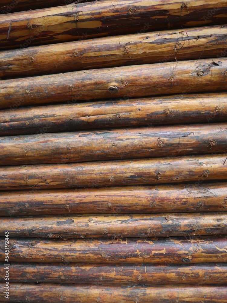 cylindrical wooden background design for simple concept cylindrical wooden background design for simple concept