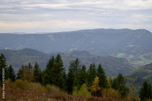 Beautiful view from a mountain in the Black Forest