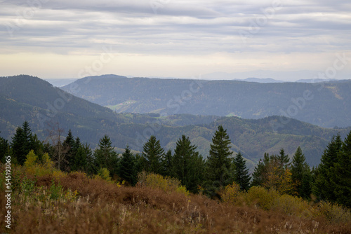 Beautiful view from a mountain in the Black Forest © michaelheim