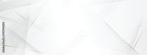 White Abstract background. Premium design. Luxury template design. space for product creative.