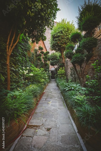 Old pathway in a dense park in the ancient city of Venice, Italy