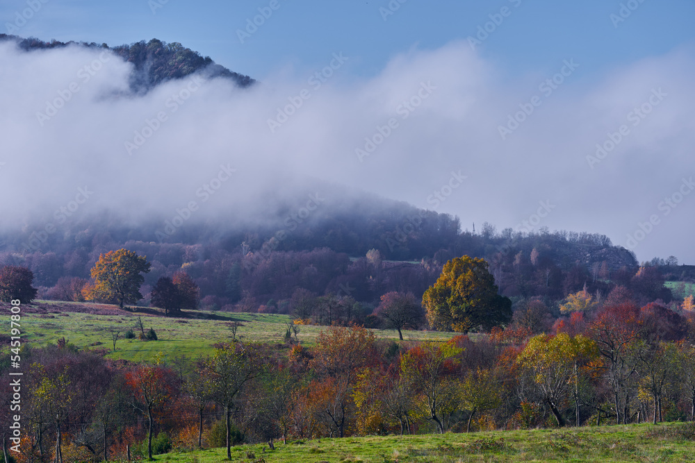 Misty autumnal landscape