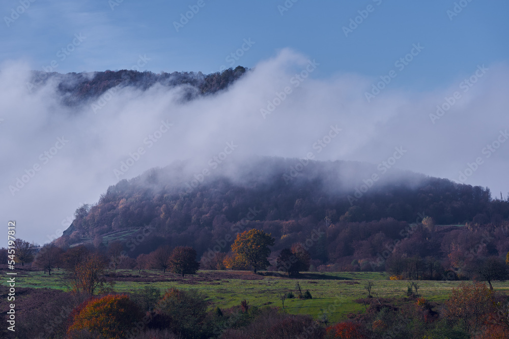 Misty autumnal landscape