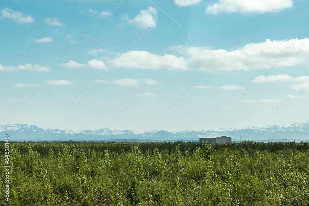 Natural landscape of a field Natural landscape of a field