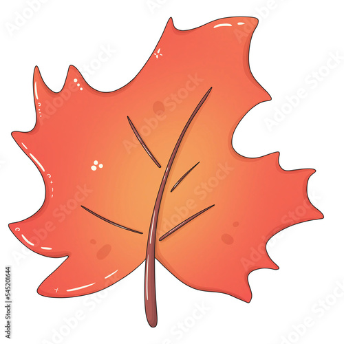 maple leaf on a transparent background