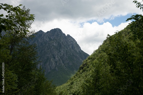Landscape with a mountain and foreground trees against the cloudy sky