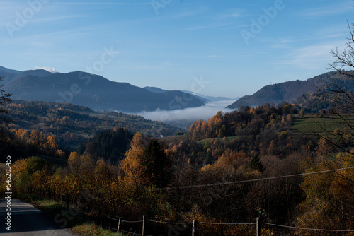 Fod in the valley  © Martin