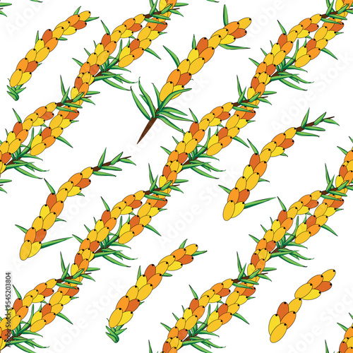 Sea buckthorn seamless pattern. Twigs with berries and leaves. Template with orange fresh berries for wallpaper