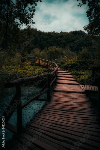 Fototapeta Naklejka Na Ścianę i Meble -  Vertical shot of a wooden path above the lake in Plitvica, Croatia