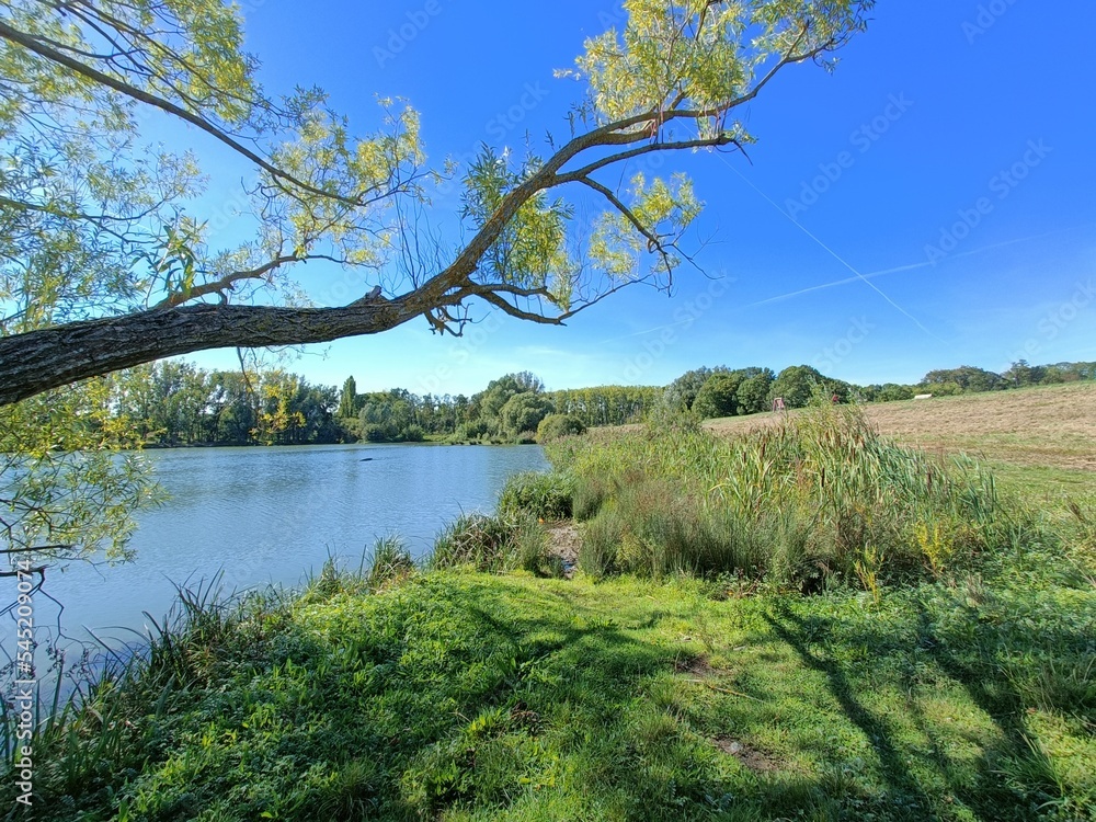 lac avec un beau ciel azur