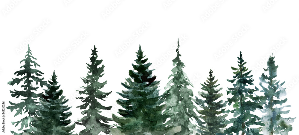 Watercolor evergreen forest background. Nature landscape graphic. Pine trees border.