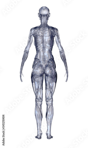 3d rendered illustration of...