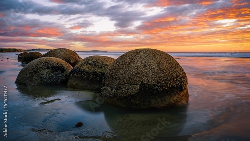 Slika na platnu Scenic view of Moeraki Boulders Beach in Hampden, New Zealand at sunset