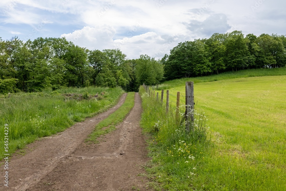 Scenic view of a road in a rural area surrounded by green meadows and vegetation