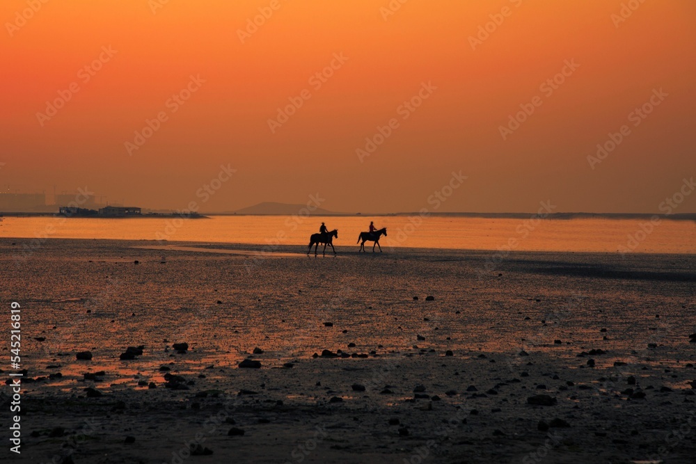 Beautiful calm orange sunset over the coastline with horse riders Beautiful calm orange sunset over the coastline with horse riders