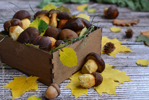 Autumn composition. Fresh forest mushrooms in a wooden box and yellow leaves on a rustic background