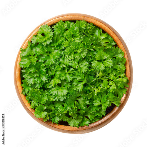 Fresh curly leaf parsley, in a wooden bowl. Curly parsley, with bright green crinkled leaves, used as a garnish. Petroselinum crispum, widely cultivated as herb and as vegetable. Close-up, from above.