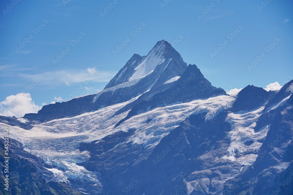 Beautiful Schreckhorn mountain in the Bernese Alps covered in snow against a blue sky