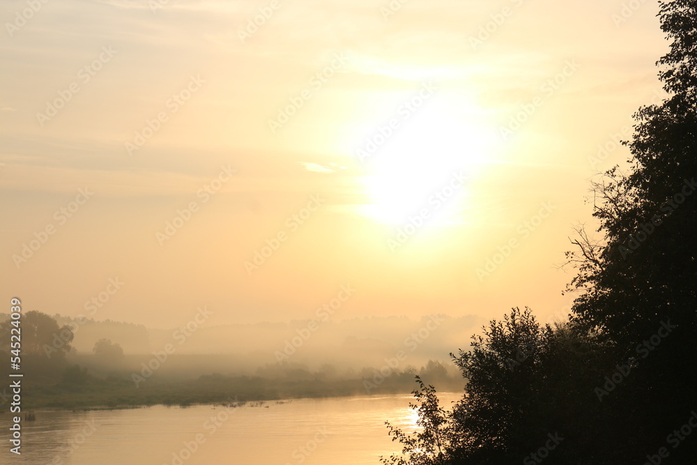 foggy morning over river in summer in countryside