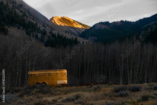 Bus in front of a forest with high mountains in the background