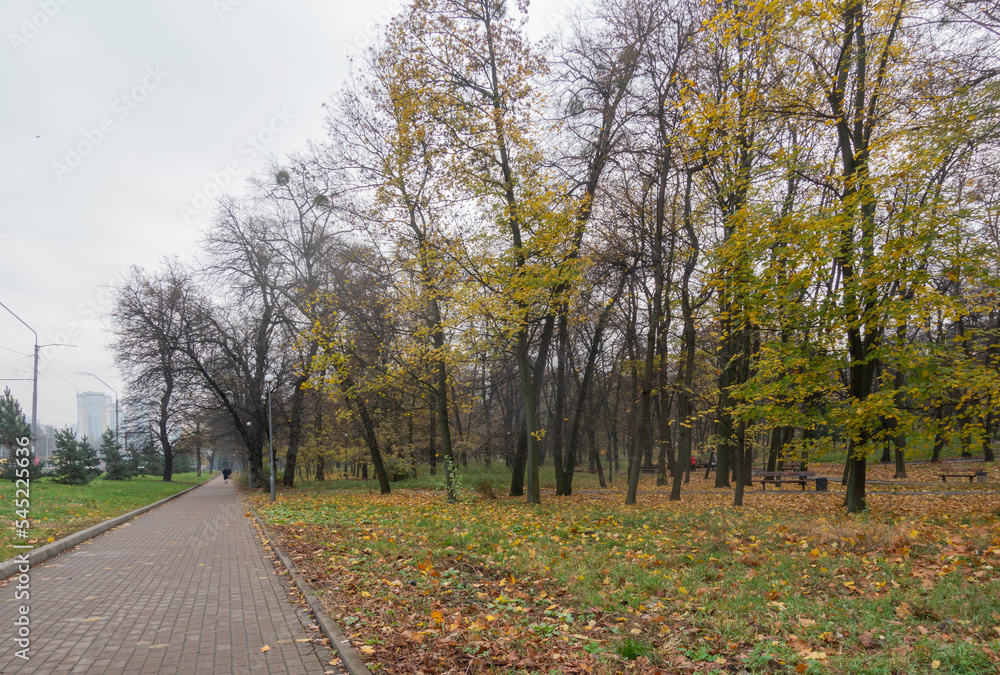 View of the Polytechnic Park in Kyiv