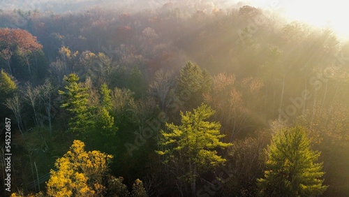Aerial view of forested mountains