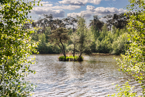 Tiny island with trees situated in a small lake photo