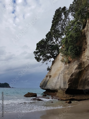 Vertical shot of the Cathedral Cove in Mercury Bay, Coromandel Peninsula in New Zealand
