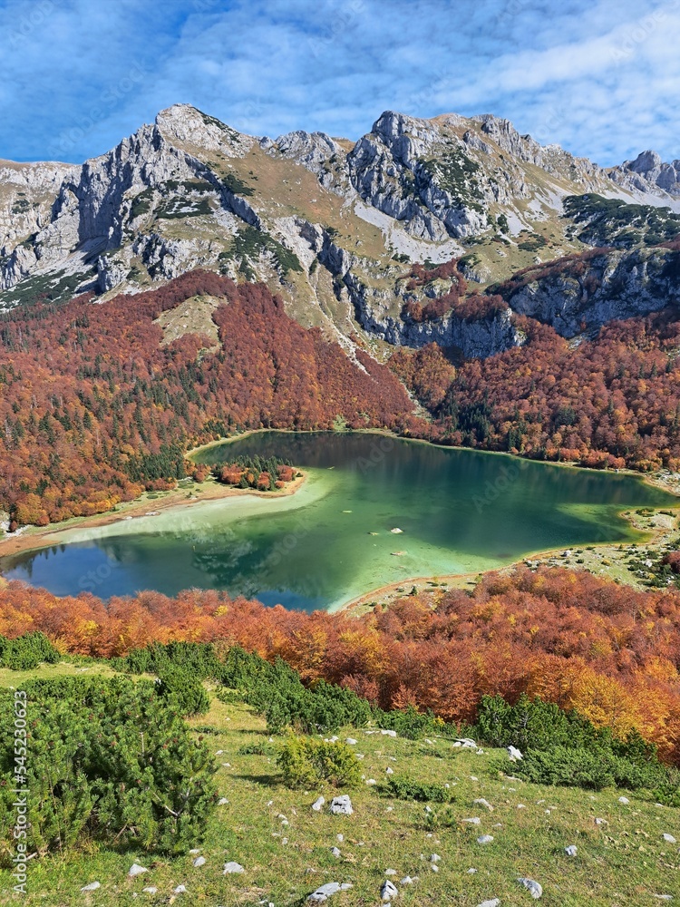 Vertical view of a lake before the mountains with red trees under the blue sky