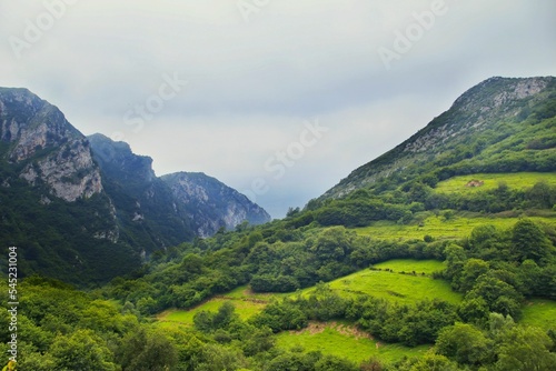 Scenic shot of green mountainous landscape and gloomy overcast sky