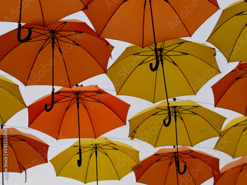 umbrellas in the rain