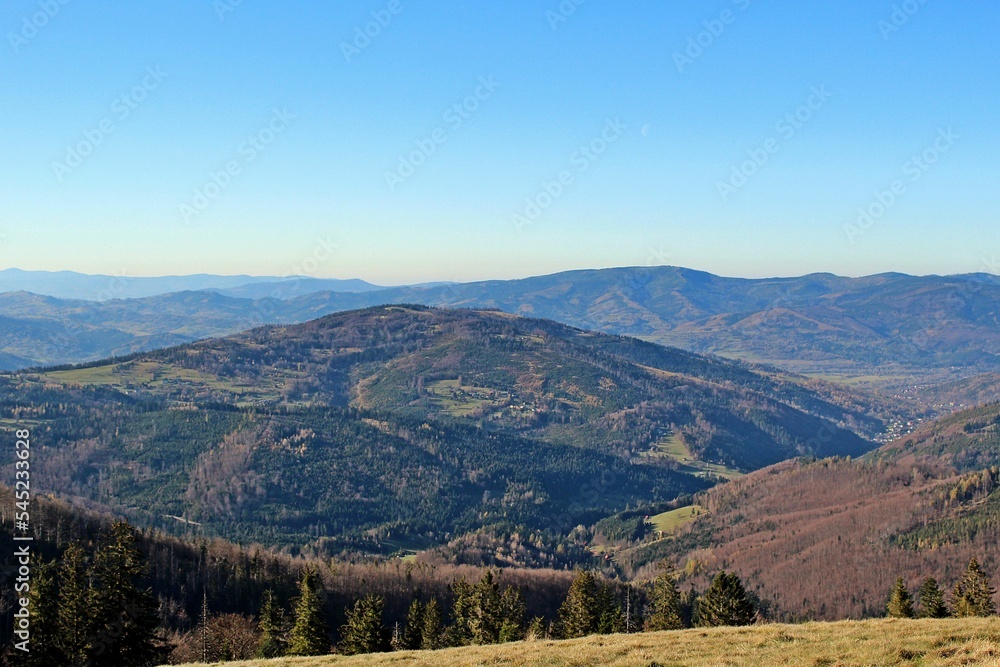 Beautiful view of hills covered in trees with a blue sky background