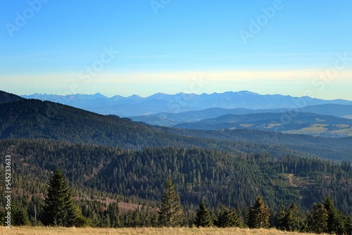 Beautiful view of hills covered in trees with a blue sky background