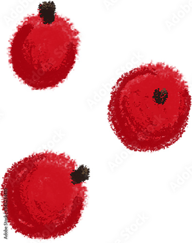 Christmas collection. Christmas red berries, winter rowan or viburnum, isolated