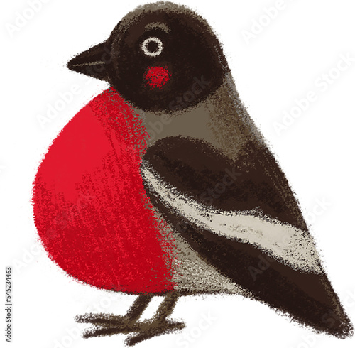 Christmas collection. Christmas winter bird bullfinch, isolated