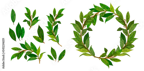 Foto Watercolor set bay leaf wreath isolated on white background