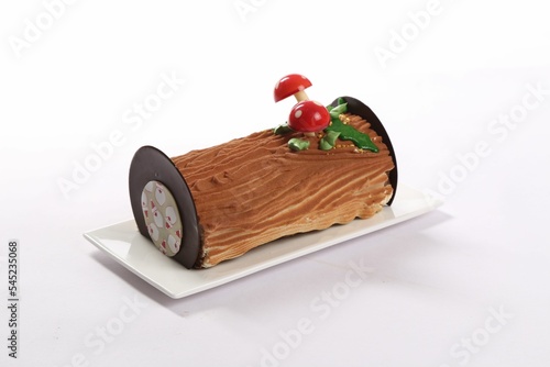 Εκτύπωση καμβά Isolated shot of a yule log cake topped with decorative mushrooms