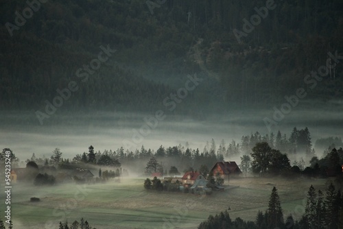Beautiful view of a valley with trees and house covered in fog