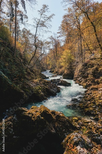 Vertical shot of a flowing rocky river in a forest in Vintgard, Bled, Slovenia photo