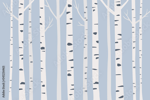 Birch tree trunks vector illustration. © MarLein