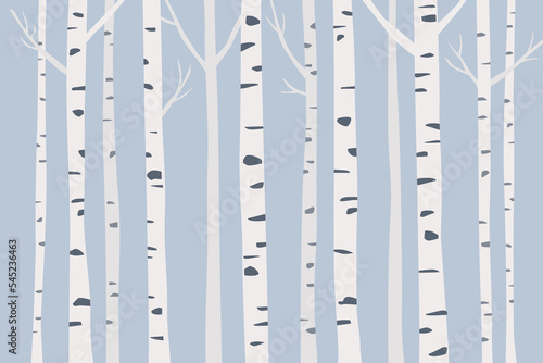 Birch tree trunks vector illustration.