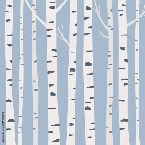 Birch forest background vector illustration.